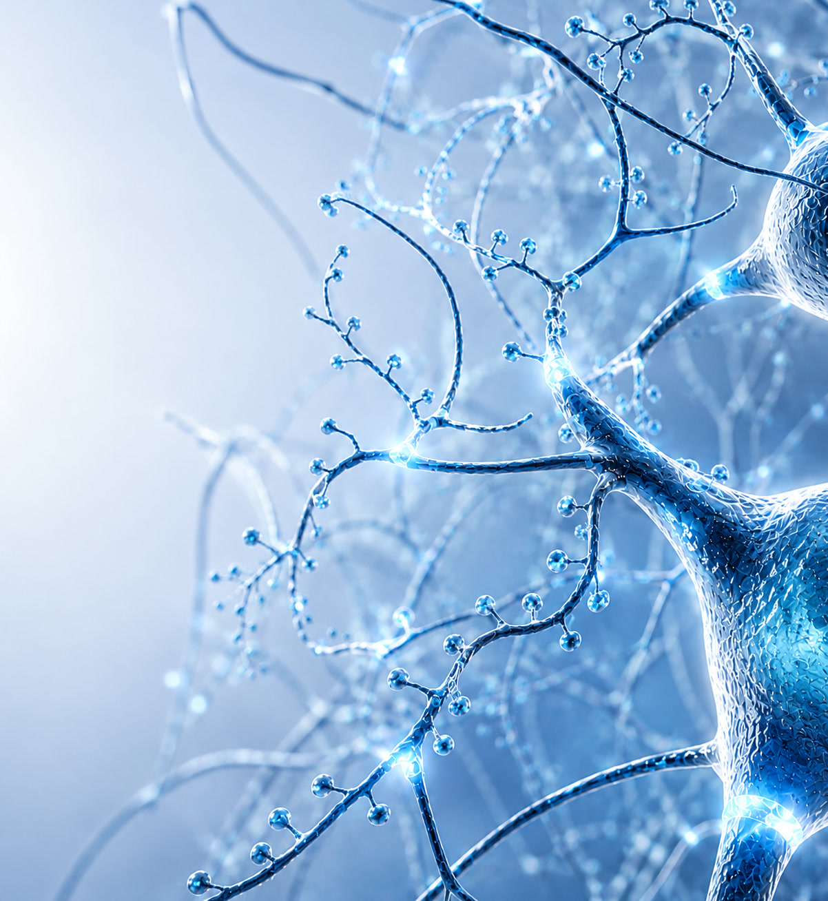 Close-up of blue neural branches with glowing connections